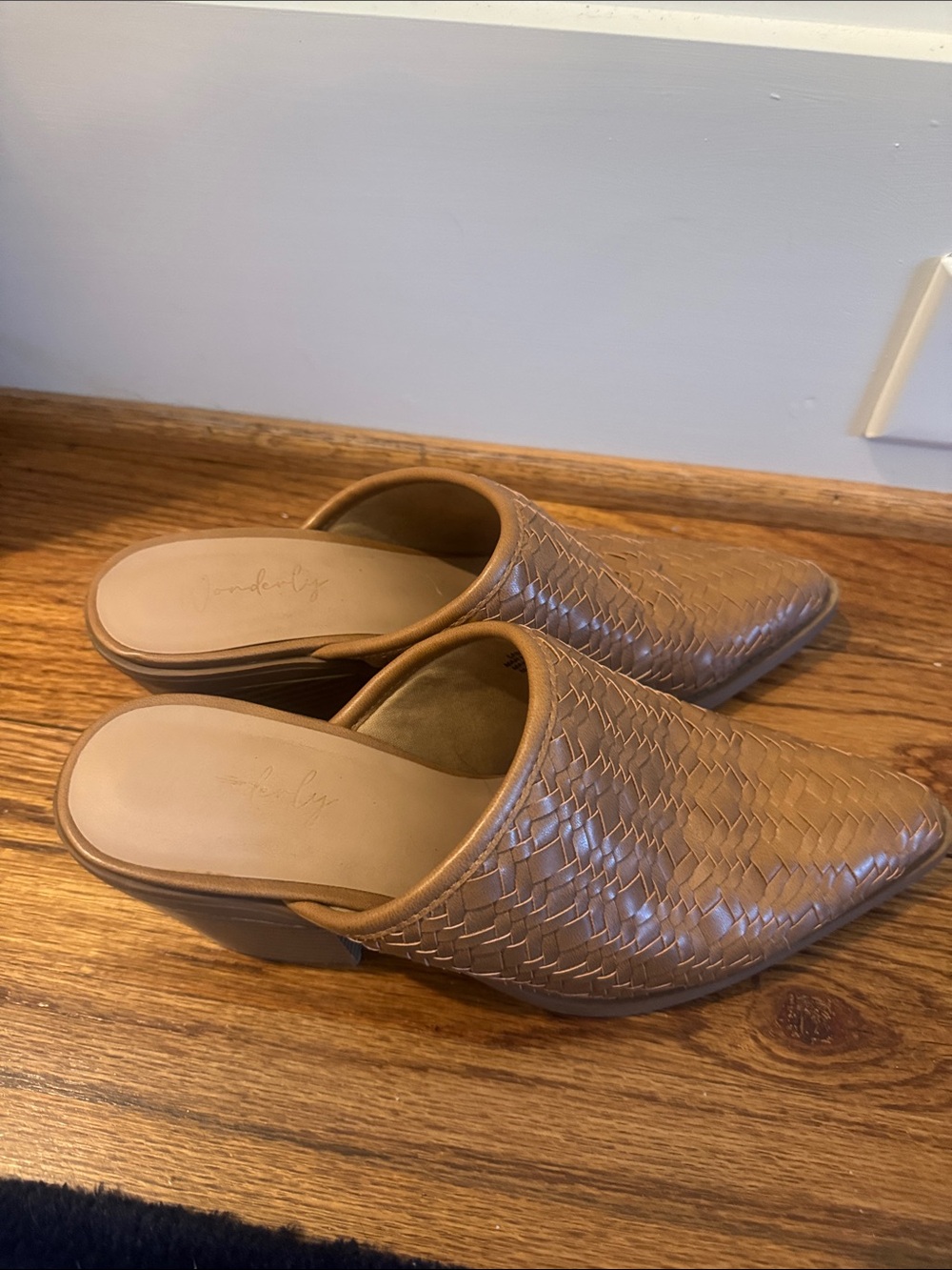 Wonderly Woven Pointed Mule in Tan